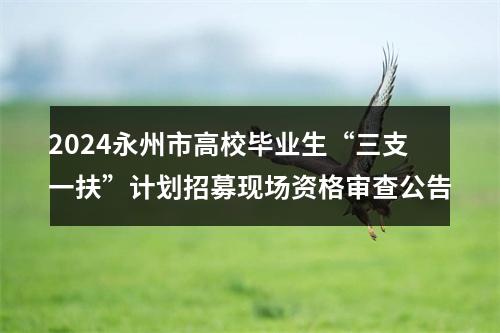 2024永州市高校毕业生“三支一扶”计划招募现场资格审查公告 图片