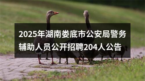 2025年湖南娄底市公安局警务辅助人员公开招聘204人公告 图片