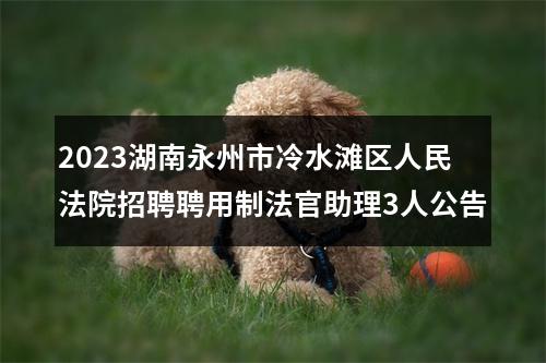 2023湖南永州市冷水滩区人民法院招聘聘用制法官助理3人公告 图片