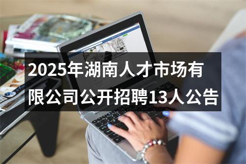 2025年湖南人才市场有限公司公开招聘13人公告 图片