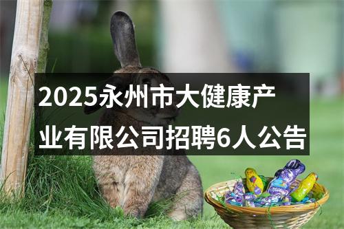 2025永州市大健康产业有限公司招聘6人公告 图片