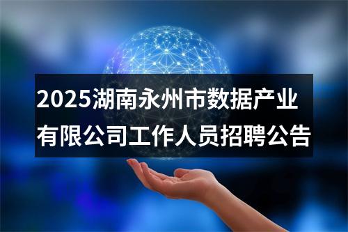 2025湖南永州市数据产业有限公司工作人员招聘公告 图片