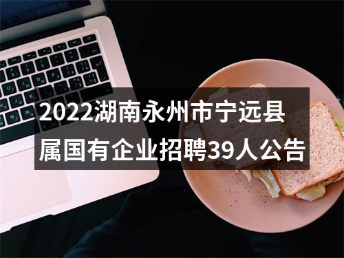2022湖南永州市宁远县属国有企业招聘39人公告 图片