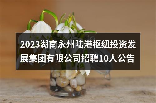 2023湖南永州陆港枢纽投资发展集团有限公司招聘10人公告 图片