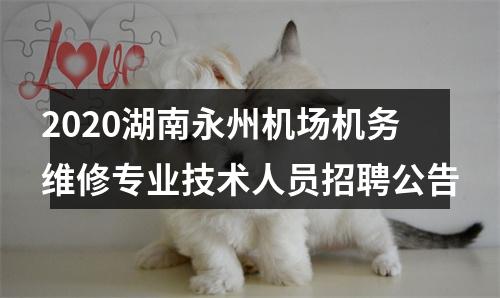 2020湖南永州机场机务维修专业技术人员招聘公告 图片