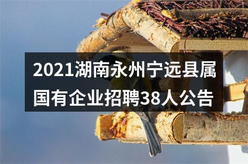 2021湖南永州宁远县属国有企业招聘38人公告 图片